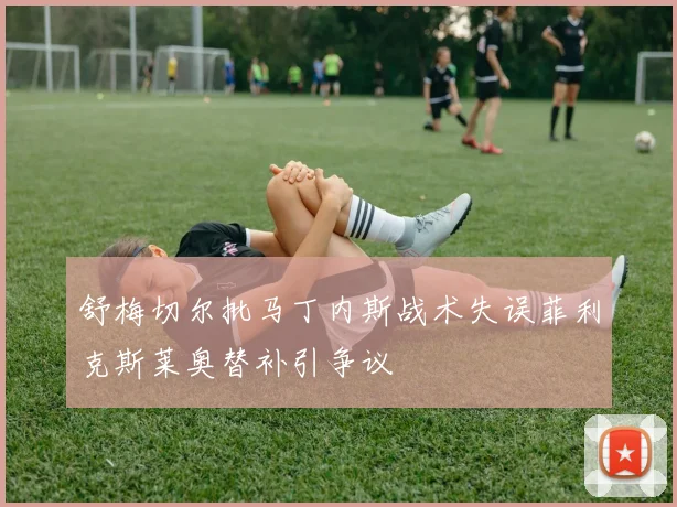 舒梅切尔批马丁内斯战术失误菲利克斯莱奥替补引争议